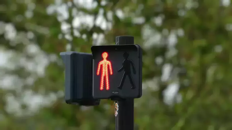 Navigating the Aftermath: Why a Pedestrian Accident Attorney Is Your Essential Ally